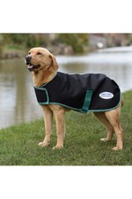 2022 Weatherbeeta Green-Tec 900D Dog Coat Medium 1006216 - Black / Bottle Green